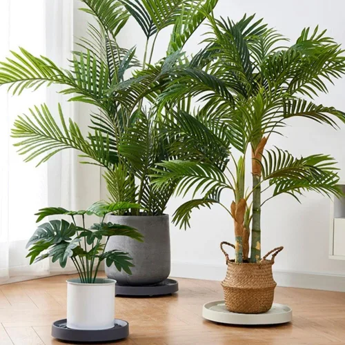 Vista 5 de Yiting Organizador resistente para plantas con ruedas, paquete de 2, soporte rodante de 11 pulgadas para plantas en maceta, plataforma rodante
