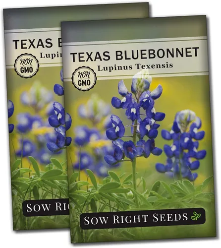 Vista 7 de Sow Right Seeds - Semilla de Bluebonnet de Texas para plantar jardín