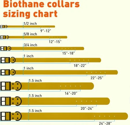 Vista 219 de Dogline Biothane - Collar impermeable para perro con hebilla de liberación rápida, resistente cincha de nailon recubierta con resistente y a prueba
