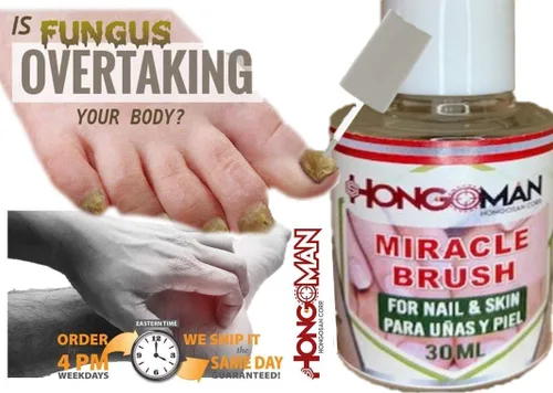 Vista 3 de 2 Hongosan Miracle Brush