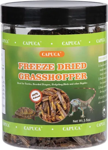 Vista 10 de Camarones gigantes de Krill liofilizados, alimento natural para reptiles de tortugas, dragones barbudos, peces tropicales y anfibios (4 onzas)