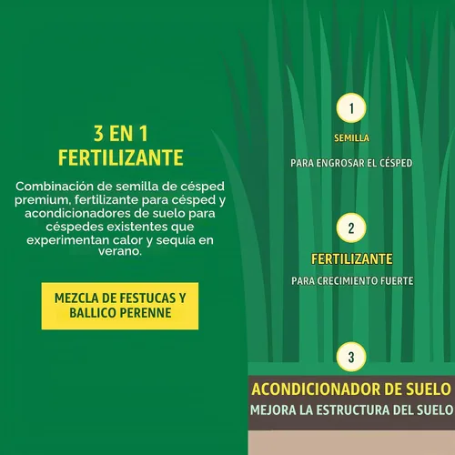 Vista 4 de Semillas y fertilizantes de hierba Sunday Northwest con festuca alta, sol