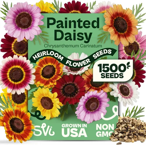 Vista 9 de Queen Anne 's Lace- 200 semillas – 50% de descuento venta