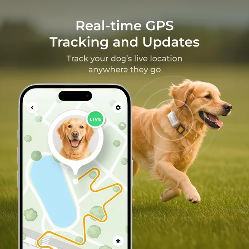 Vista 3 de Petcube GPS Tracker para perros - Seguimiento GPS en tiempo real y alertas de escape Vallas virtuales, monitoreo de actividad y bienestar, brillo