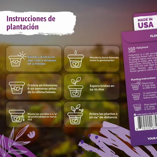 Vista 3 de 150 semillas de flores tradicionales de Hollyhock para plantar, Alcea Rosea