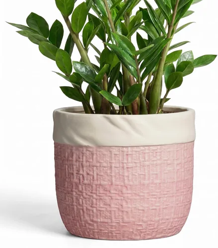 Vista 30 de Macetas de cerámica para plantas, maceta de 6 pulgadas para plantas suculentas de interior, macetas redondas con orificio de drenaje, macetas Azul