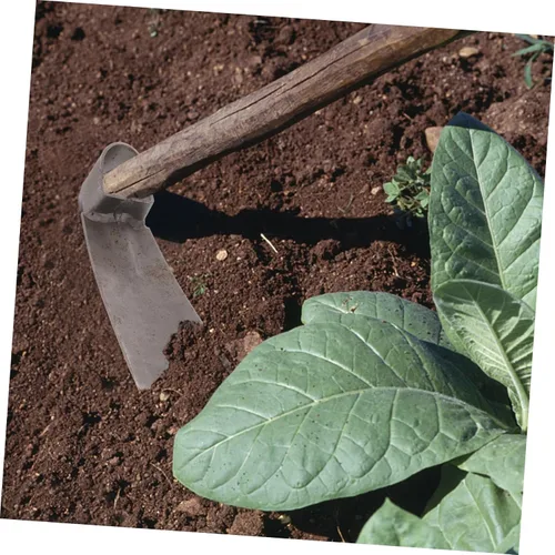 Vista 8 de Yardwe Jardín Azada Jardín Cultivador Herramientas de Jardinería Weeder Digging Herramientas de mano