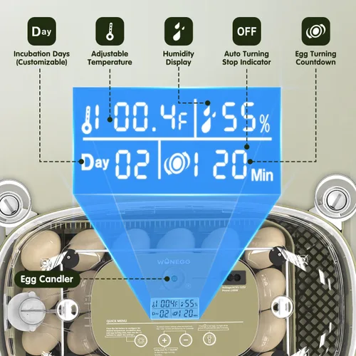 Vista 3 de HOWOOlUA Incubadora de huevos para incubar huevos con giro automático, control de temperatura y humedad, incubadora de huevos integrada de gran 24