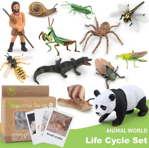 Vista 3 de Montessori Life Cycle Animal Insect Figurines Juguetes de aprendizaje y educación, juguetes de insectos de plástico para niños, actividades