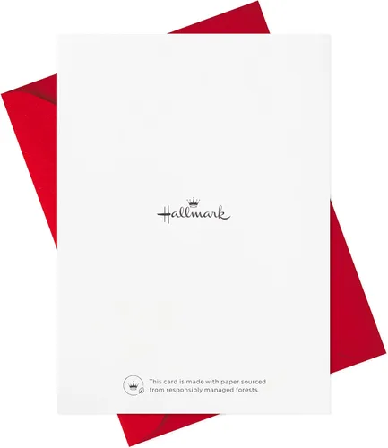 Vista 6 de Hallmark Surtido de tarjetas en blanco, corazones arcoíris (24 tarjetas con sobres)