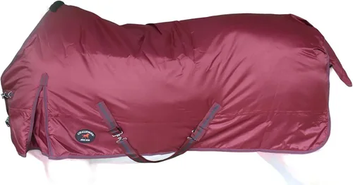 Vista 2 de Challenger Manta de invierno de peso medio impermeable 840D Horse Turnout Borgoña 59EE01