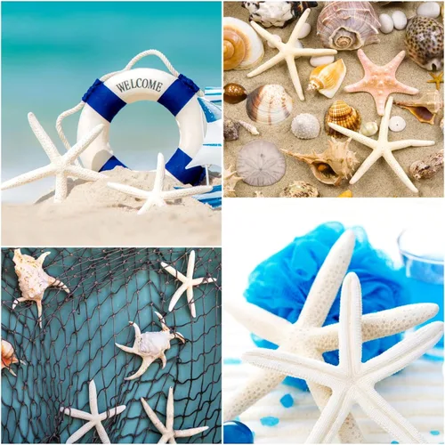 Vista 5 de Jangostor 20 piezas de estrellas de mar, conchas naturales de 2.5 a 4 pulgadas, conchas marinas naturales, estrellas de mar, estrellas de mar