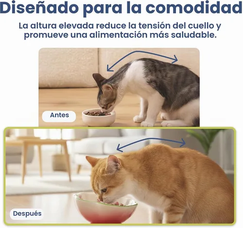Vista 9 de Tazón elevado de comida para gatos con flores de fresa por PawsPik Rojo
