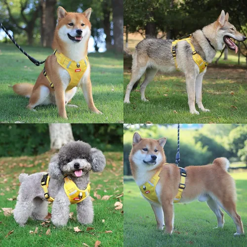 Vista 22 de Arnés para perros medianos y grandes, chaleco de servicio antitirones con asa, collar para perros pequeños y grandes, con cuello y pecho ajustables