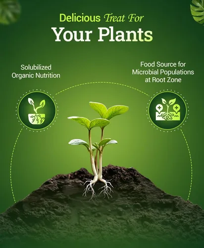 Vista 3 de FoxFarm Bushdoctor Bembé concentrado, fertilizante líquido de acción rápida para plantas, mejora los azúcares naturales para la dulzura y el sabor