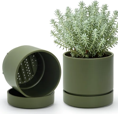 Vista 49 de Phoenix Vine 4 Inch Planter Pot with Drainage Hole & Saucer, Deep Water Catch Tray, Straight Cylindrical Round Pot for Plants, Olive, Pack of 1