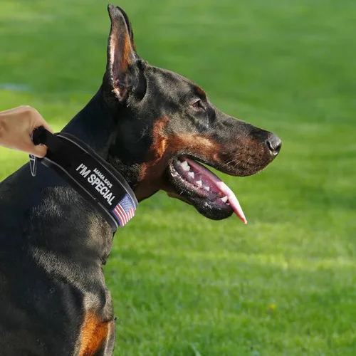 Vista 3 de Collar táctico de 2.5 pulgadas para perros medianos, collar de perro ajustable de nailon militar resistente con costuras reflectantes y mango