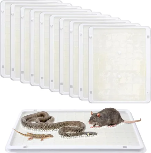 Vista 10 de Qualirey - Paquete de 8 trampas grandes de pegamento para ratas y ratones, 11.8 X 9.84 pulgadas, trampas grandes y resistentes para ratones