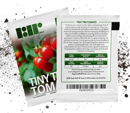 Vista 7 de 50 semillas de tomate Tiny Tim para plantar, tomate de patio, reliquia enana, tomate cherry - por RDR Seeds