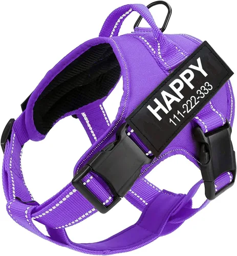 Vista 10 de Arnés para perro con nombre personalizado con parche personalizado, chaleco para mascotas sin tirones, fácil control para entrenamiento de caminatas