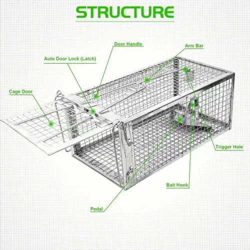 Vista 4 de 1 trampa humana para ratas, trampa para roedores de ardilla para interiores y exteriores, para animales pequeños – ratones de ratón, hámsters, jaula