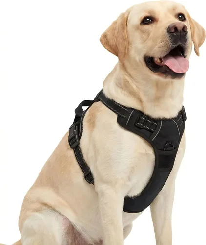 Vista 10 de Funfox Arnés para perro sin tirones, chaleco ajustable para mascotas con asa de control y clip frontal, diseño reflectante para perros pequeños