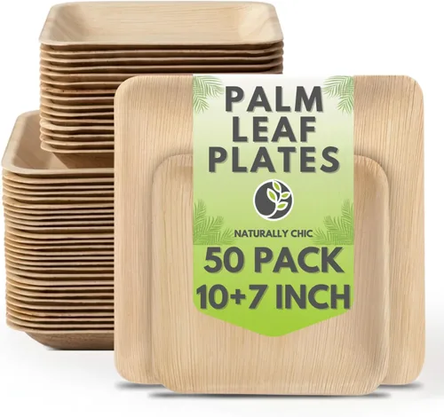 Vista 8 de Platos cuadrados de hoja de palmera – Platos similares al bambú, ecológicos, desechables, compostables y biodegradables para bodas, fiestas