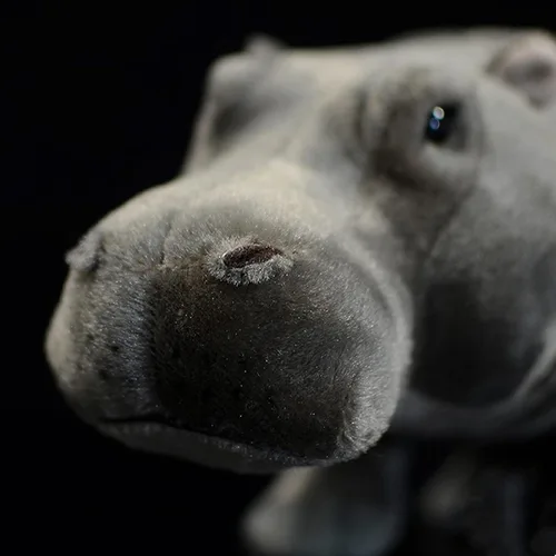 Vista 7 de Juguete de peluche realista de hipopótamo, animal de peluche de hipopótamo de 14 pulgadas, animales salvajes suaves, juguetes de peluche únicos