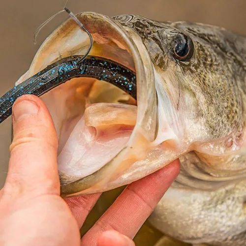 Vista 6 de Anzuelos Wacky Rig sin malas hierbas, anzuelos de pesca para señuelo de gusano de aparejo loco