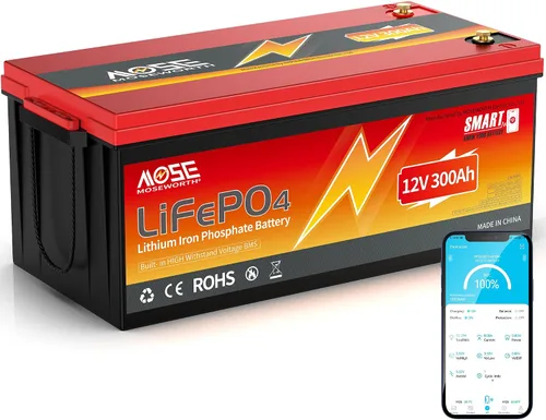 Vista 12 de Batería de litio LiFePO4 de 12 V 100 Ah con Bluetooth, BMS integrado, protección a baja temperatura, más de 5000 ciclos, celdas de batería