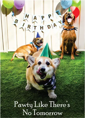 Vista 30 de Glory To Dog Ah Wooo Tarjeta de cumpleaños feliz con tarjeta de felicitación y sobre para envío
