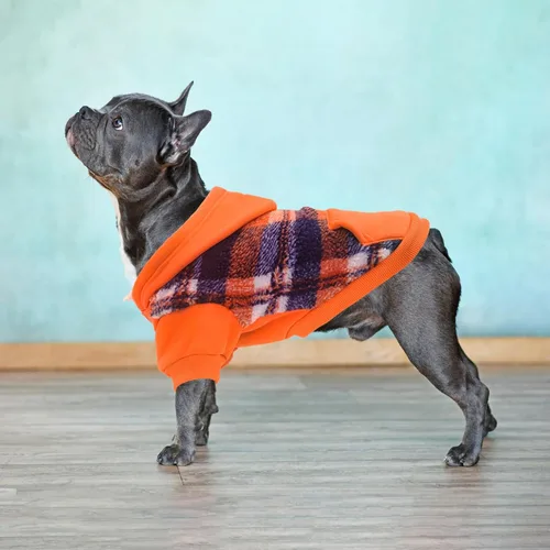 Vista 41 de PUPTECK Sudadera con Capucha para Perro Sudadera para Cachorro Suéter Cálido para Perro Ropa de Invierno Abrigos para Clima Frío para Perros Negro