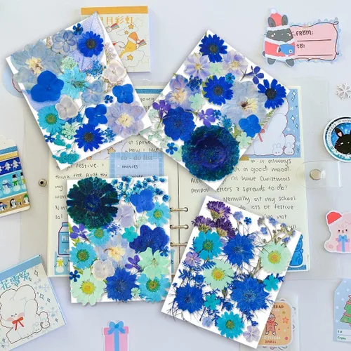 Vista 2 de 150 piezas de flores azules secas prensadas con pegatinas de mariposas - Juego de flores naturales reales de YouthBro para manualidades de resina