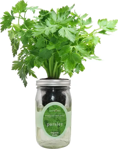 Vista 11 de Kit de Cultivo Hidropónico, Kit de Inicio de Jardín de Hierbas en Frasco Mason con Autoriego para Interiores, Jardín de Hierbas para Alféizar