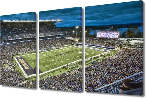 Vista 33 de TUMOVO MetLife Stadium - Decoración de pared de Nueva York, 3 piezas, lienzo, arte de pared para decoración del hogar, juegos de fútbol americano