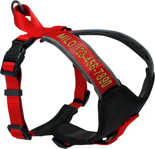 Vista 22 de Arnés para perro Pawtitas para entrenamiento de suave, ajustable, reflectante, acolchado para cachorros, Azul