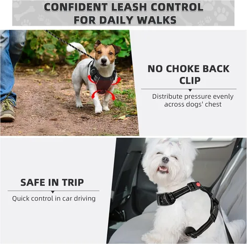 Vista 5 de Arnés para perro sin tirón y correa - Chaleco ajustable suave y acolchado, chaleco Oxford reflectante con asa de fácil control para perros pequeños