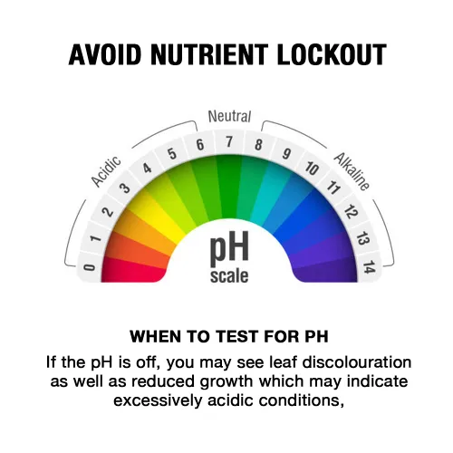 Vista 3 de Microbe Life Hydroponics Líquido de control de pH Up, tampón premium para estabilidad del pH, aumenta los niveles de pH, uso con cualquier sistema