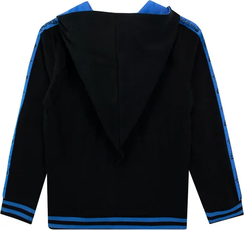 Vista 3 de Harry Potter Sudadera con capucha para niños Ravenclaw con capucha puntiaguda