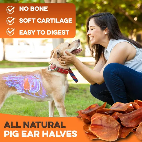Vista 7 de BRUTUS & BARNABY Orejas de cerdo enteras para perros, 12 unidades – Masticables para perros de un solo ingrediente totalmente naturales, cocinados a