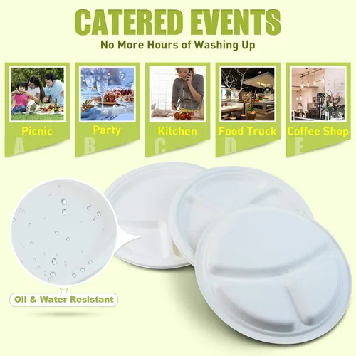 Vista 5 de Green Earth Platos compostables de 10 pulgadas, 500 unidades, 3 compartimentos redondos Bagazo natural, forma redonda desechable biodegradable