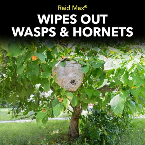 Vista 7 de Raid MAX Espray espumoso para avispas y avispones insectos, 16.5 onzas
