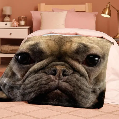 Vista 5 de Adorable manta de franela con fotos de Bulldog Francés, color marrón, ultra suave, acogedora, manta de felpa para sofá, silla, sala de estar, aire