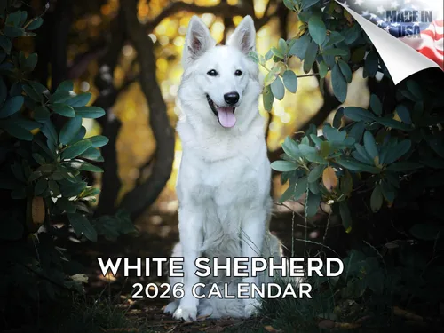 Vista 94 de Calendario de Lebrel Afgano 2025 2026, calendario mensual de pared de raza canina, 12" x 18" abierto, papel grueso sin traspaso, ideal para regalo