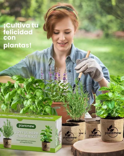 Vista 4 de Regalo para mujeres, mamá, ella – Kit de jardín de 9 hierbas para ventana interior Juego completo de semillas de hierbas con macetas, tierra