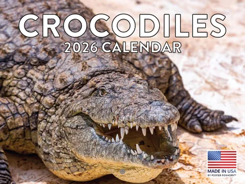 Vista 81 de Calendario mensual de pared de alpaca 2025 Fabricado en Estados Unidos