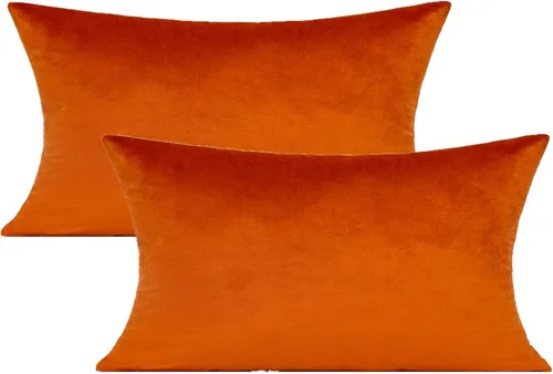 Vista 10 de VAKADO Juego de 2 fundas de almohada de terciopelo beige crema de 16 x 16 pulgadas, fundas de cojín cuadradas suaves y sólidas, decoración del hogar