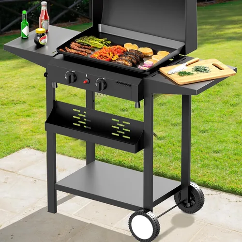 Vista 9 de Plancha de gas para barbacoa de 2 quemadores, 25.6 pulgadas