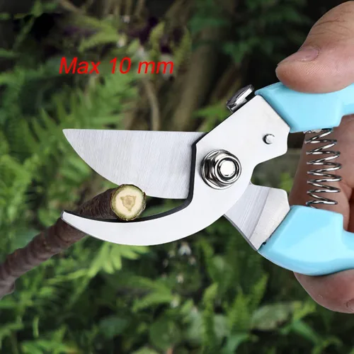 Vista 3 de Tijera de jardinería curva con hoja de acero inoxidable afilada, tijeras de jardín para cortar flores, recortar plantas de patio, floristería, flor
