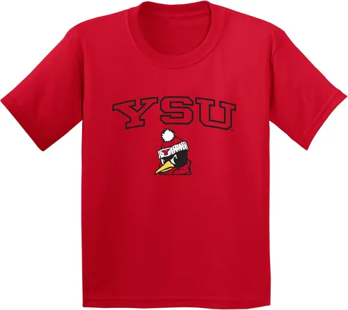 Vista 227 de NCAA Arch Logo, camiseta juvenil color del equipo, universidad - universidad